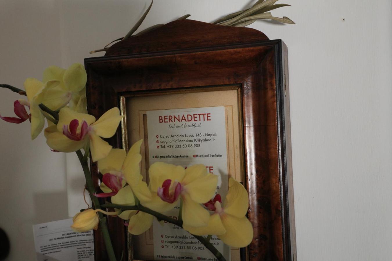 Bernadette Panzió Nápoly Kültér fotó